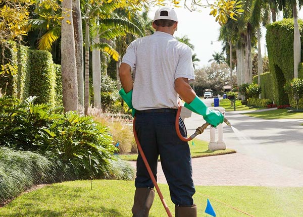 About Cohutta GA Pest Control Pros